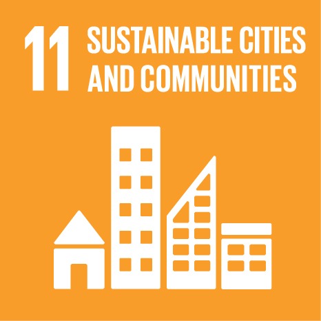 SDG 11 Sustainable Cities and Communities – disaster relief and resilience support for Bihar flood-affected communities