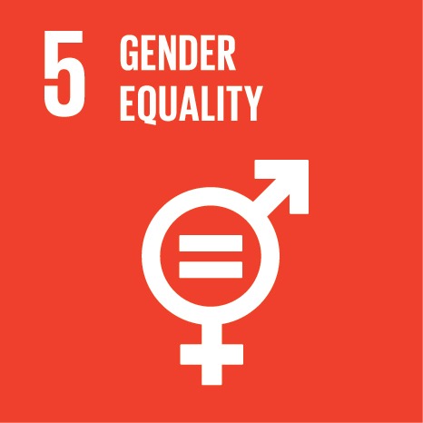United Nations Sustainable Development Goal 5: Gender Equality